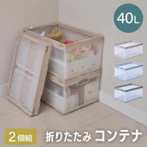 RISU（リス） 折りたたみコンテナ 50L 収納ボックス 蓋付き (側面