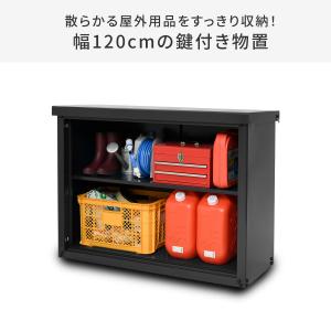 物置 (幅120奥行45高さ94) DSSB-...の詳細画像1