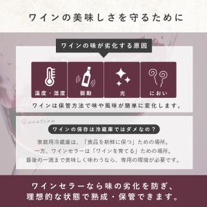 ワインセラー コンプレッサー式 家庭用 小型 ...の詳細画像2