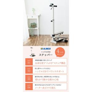 1年保証 ハンドル付きステッパー 保護マット付...の詳細画像2