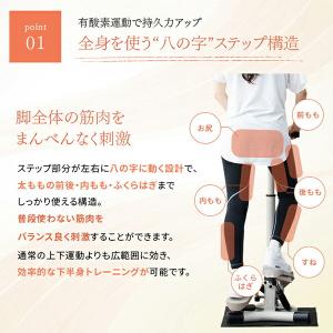 1年保証 ハンドル付きステッパー 保護マット付...の詳細画像3