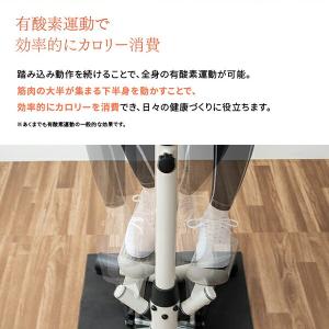 1年保証 ハンドル付きステッパー 保護マット付...の詳細画像4