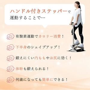 1年保証 ハンドル付きステッパー 保護マット付...の詳細画像5