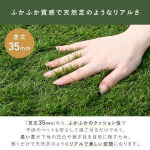 人工芝 芝生 ガーデン 芝丈35mm 2×5m...の詳細画像4