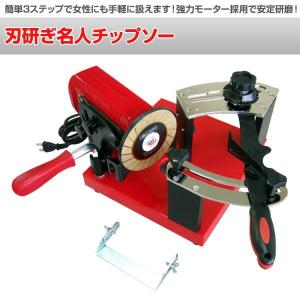 刃研ぎ名人チップソー N-822 研磨機 卓上...の詳細画像1