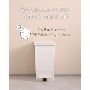 ゴミ箱 3分別 キッチンカウンター キャスター...の詳細画像1