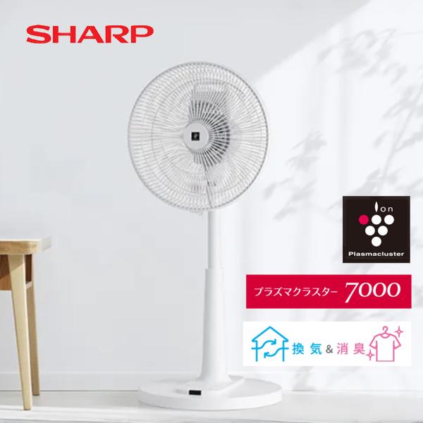 扇風機 リビング扇風機 小型 静音 首振り プラズマクラスター搭載 シャープ