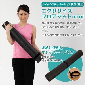 エクササイズフロアマットmini エクササイズ...の詳細画像1