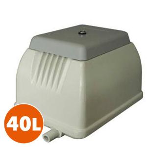 寺田ポンプ 電磁式エアーポンプ 定格風量60(L/min) TY-60 電動エアー