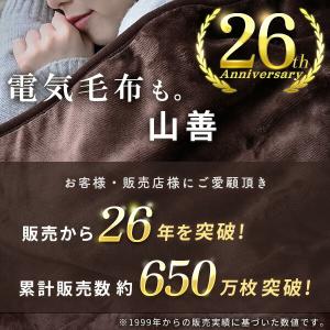 電気毛布 掛け敷き 毛布 暖房 パーソナル暖房...の詳細画像1