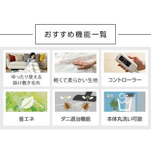 電気毛布 掛け敷き 毛布 暖房 パーソナル暖房...の詳細画像4