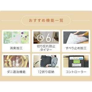 ホットカーペット 1.5畳 空気をキレイにする...の詳細画像4