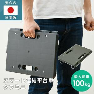 ミニ平台車 タフミニ YRM-N50 ブラック...の詳細画像1