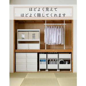 頑丈 収納ラック キャスター付き 奥行き76 ...の詳細画像3