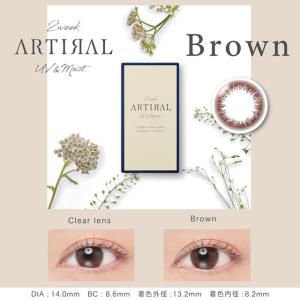 最大40%OFFクーポン アーティラル 2we...の詳細画像2