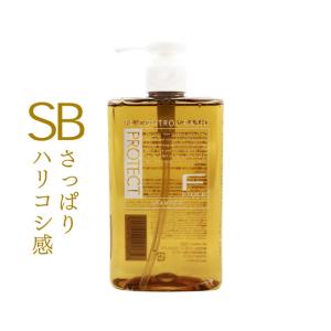 フィヨーレ Fプロテクト SB ヘアシャンプー ベーシックタイプ 300mL｜e-lensstyle