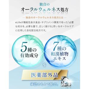 ホワイトメディカルクリア 歯磨き粉 薬用 ホワ...の詳細画像4