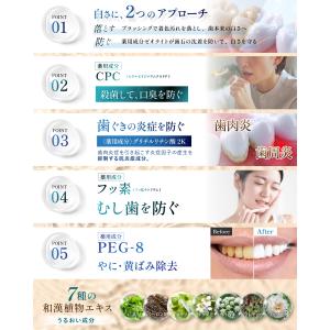 ホワイトメディカルクリア 歯磨き粉 薬用 ホワ...の詳細画像5