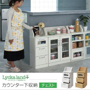 カウンター下収納 薄型 棚 本棚 おしゃれ Lycka land｜e-living