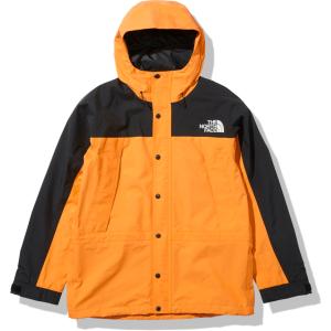 THE NORTH FACE ノースフェイス マウンテン ライトジャケット メンズ Mountain Light Jacket 防水シェル