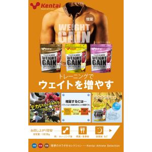ケンタイ Kentai ウェイトゲイン アドバ...の詳細画像3
