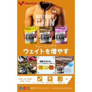 ケンタイ Kentai ウェイトゲイン アドバ...の詳細画像3