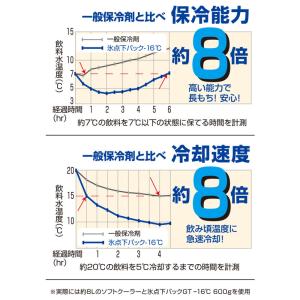 ロゴス LOGOS 氷点下パックGT-16℃ ...の詳細画像2