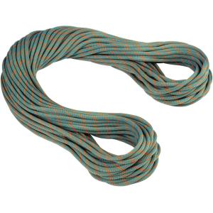 MAMMUT マムート 9．9　クラグ　ワークホース　ドライ　ロープ　9．9　Crag　Workhorse　Dry　Rope　70m　ロープ　クライミング　撥水　安全　耐久性 20｜e-lodge