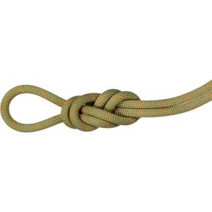 MAMMUT マムート 9．9 Gym Workhorse Classic Rope 2010−04310 201004310A BOAの商品画像