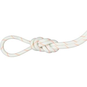 MAMMUT マムート 9．9 Gym Workhorse Dry Rope 2010−04320 201004320B WHITEの商品画像