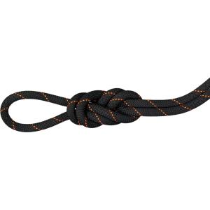 MAMMUT マムート 9．9 Gym Workhorse Dry Rope 2010−04320 201004320C BLACKの商品画像