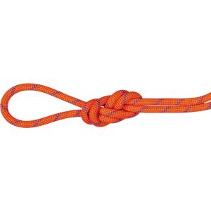 MAMMUT マムート 7．5 Alpine Sender Dry Rope 2010−04330 ...