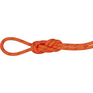 MAMMUT マムート 8．0 Alpine Dry Rope 2010−04350 201004350C SAFETY OR-BOの商品画像