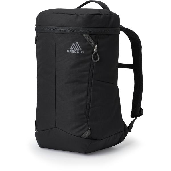 GREGORY グレゴリー ルーヌ25 バックパック リュック 通勤 通学 出張 旅行 ビジネス デ...