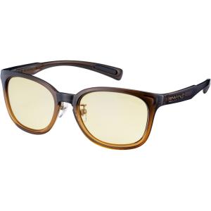 SWANS（スワンズ） ディーエフパスウェイ Df pathway 偏光レンズモデル