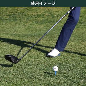 タバタゴルフ Tabata GOLF スリムテ...の詳細画像4