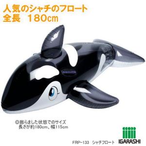 シャチフロート　魚　浮き輪｜e-maejimu