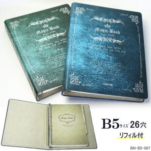 maruman（マルマン） バインダー メタルバインダー 収納ファイル B5 26