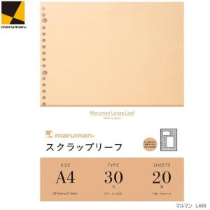 2026年ダイアリー ルーズリーフリフィル A4サイズ 30穴 C-4657