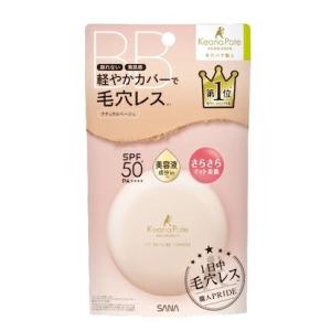 パウダー 毛穴パテ職人 フィットスキンＢＢパウダー