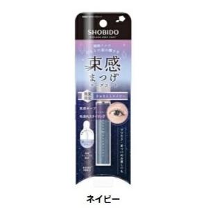 まつげ 束感 束感まつげキープコート 星くずネイビー