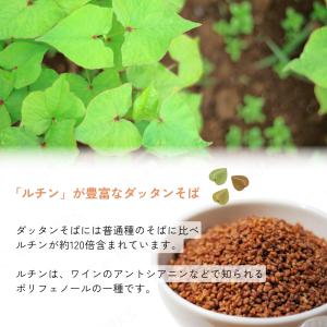 【ダッタンそば茶 ティーバッグ】信州の恵み ダ...の詳細画像3