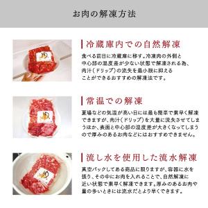 焼肉のつけだれあおやま秘伝のタレ1袋100gの詳細画像2