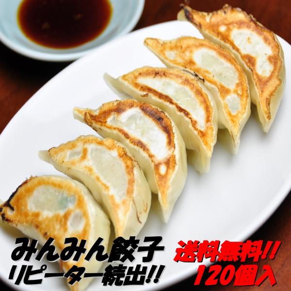 餃子120個 餃子専門店みんみん ぎょうざ ギョーザ 富山 送料無料