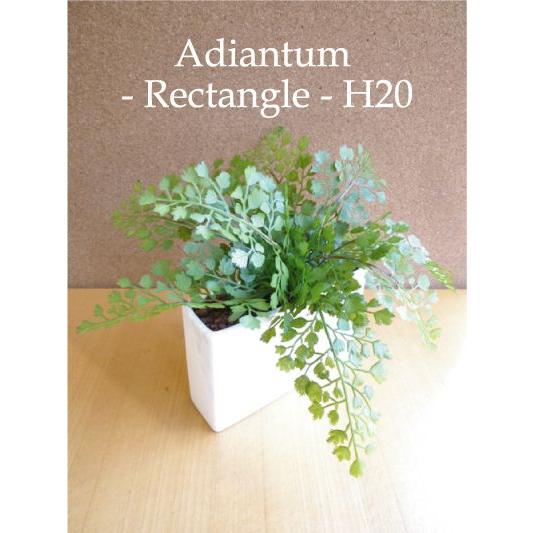 アジアンタム 長方形 20cm 造花 CT触媒 造花 観葉植物 ミニ インテリア