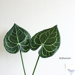 アンスリウムリーフ Anthurium 造花 フェイクグリーン フェイクフラワー｜e-mintcafe