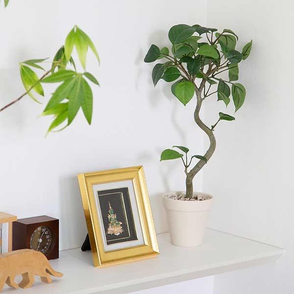 丸葉ベンジャミン 40cm 造花  フェイクグリーン ミニ観葉植物 消臭 CT触媒