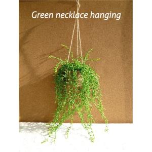 グリーンネックレスハンギング 観葉植物 造花 インテリア ＣＴ消臭 触媒 フェイクグリーン 吊り下げ｜フェイクグリーン みんとかふぇ