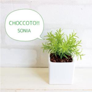 ミニ ソニアポット　造花 観葉植物 光触媒 CT触媒 インテリア フェイクグリーン