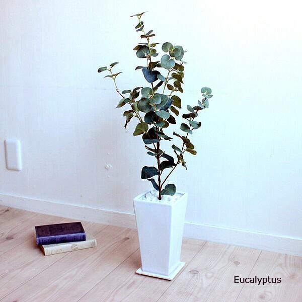 ユーカリ 70cm 造花 観葉植物 インテリア 人工観葉植物 大型 フェイクグリーン  (北海道 沖...
